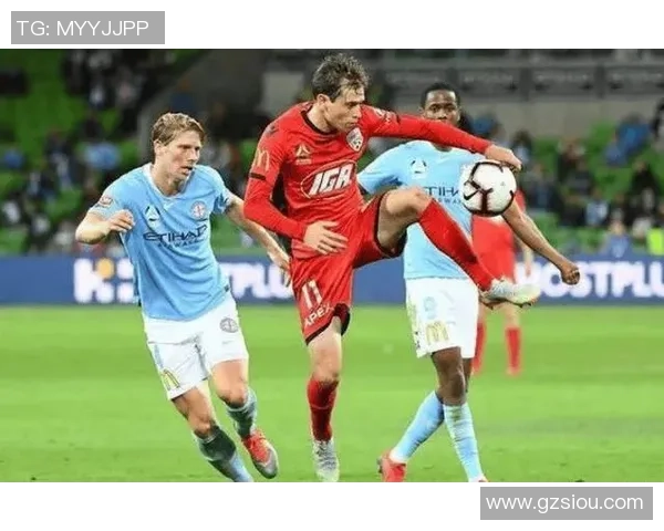 阿德莱德联与惠灵顿凤凰精彩对决直播全程回顾与分析