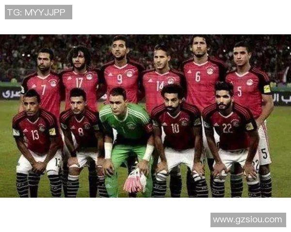 06世界杯沙特阿拉伯对阵德国精彩回顾与赛后分析