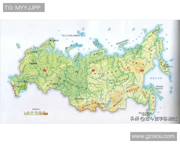 白俄罗斯女子篮球队对阵爱沙尼亚女子篮球队精彩赛事回顾与分析